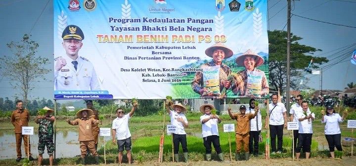 Bupati Lebak Pimpin Penanaman Padi PS 08, Target Produktivitas Tembus 8,7 Ton per Hektare