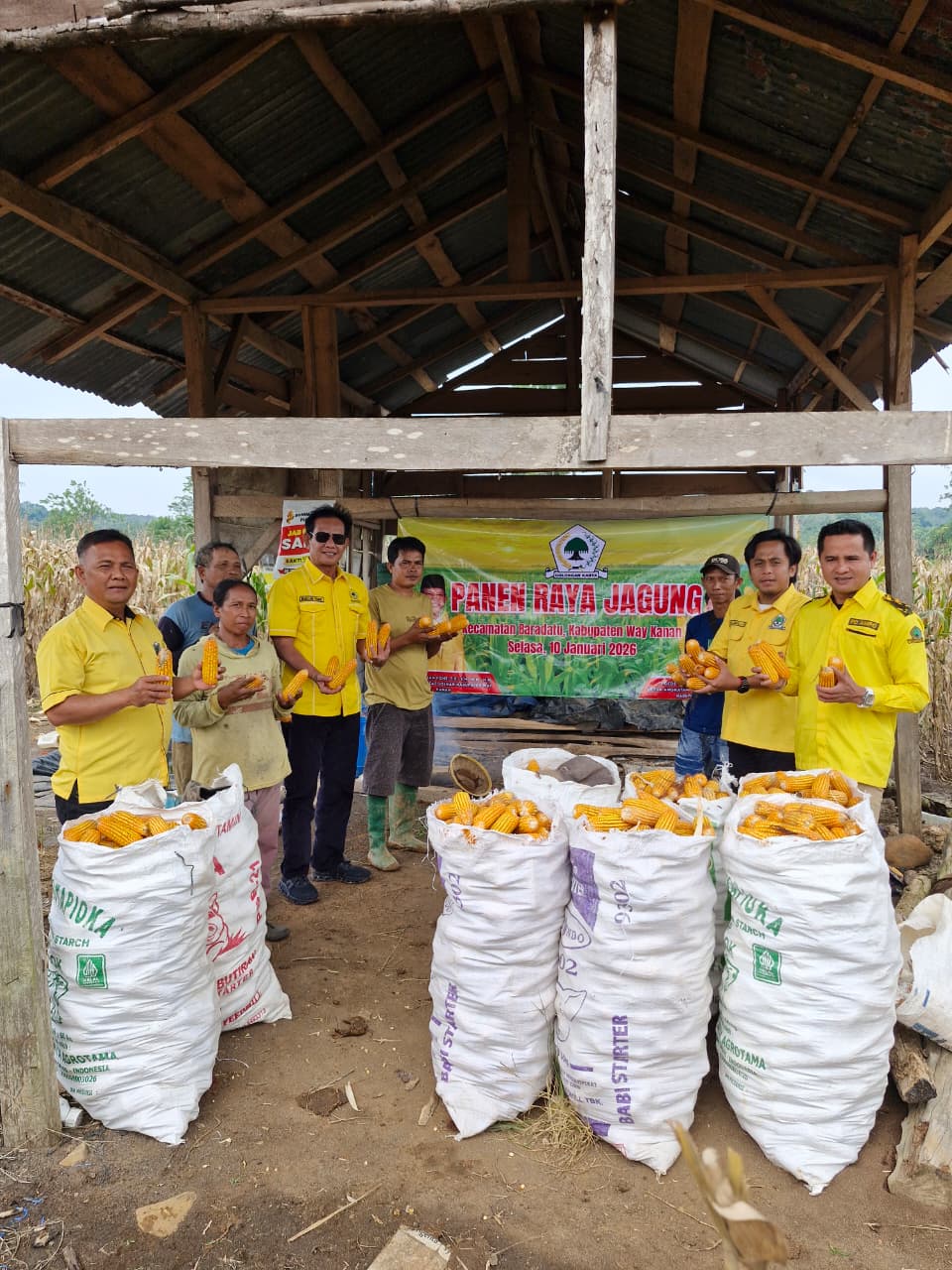 Ketua DPD Partai Golkar Kabupaten Way Kanan Hadiri Panen Raya Jagung di Kecamatan Baradatu